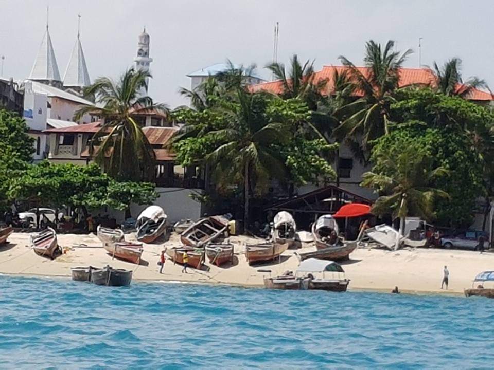 Stone Town beach — traditional boats, palm trees, historic buildings, mosque minaret