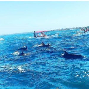 Zanzibar beach — white sand, turquoise water, tropical paradise