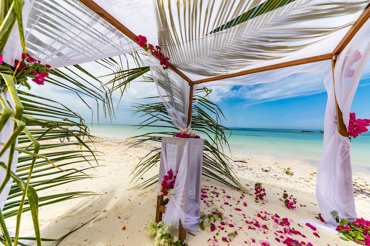 Romantic beach wedding setup — white fabric canopy, pink bougainvillea flowers, palm fronds, turquoise ocean view