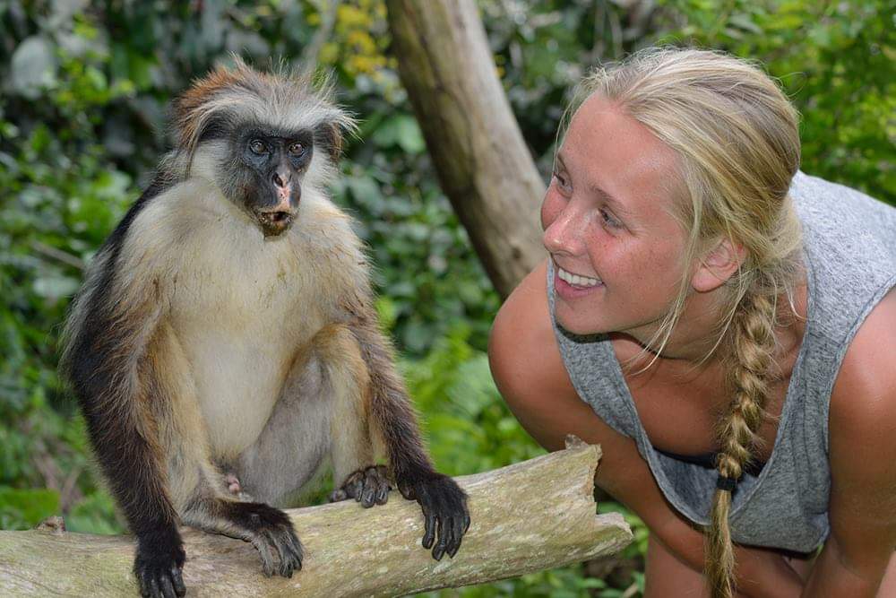 Marine activity in Zanzibar — snorkeling, diving, or wildlife encounter