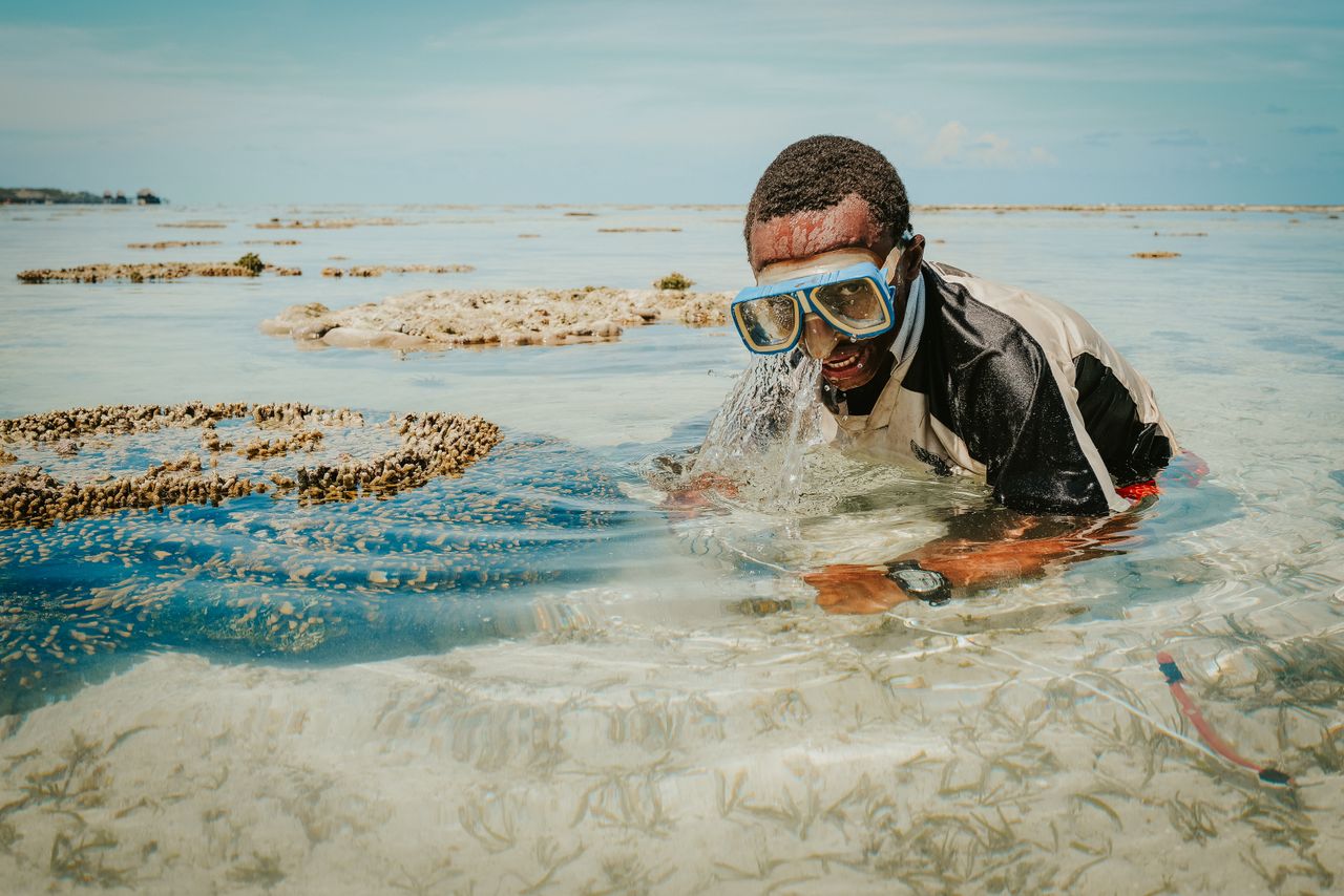 Snorkeling in Zanzibar — shallow coral reef, clear water, marine life exploration