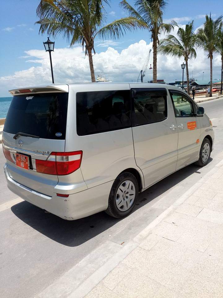 Silver minivan parked on a paved road with palm trees and the ocean in the background — tourist transport